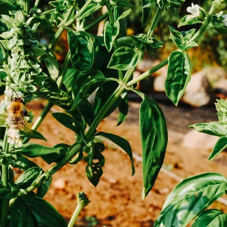 Κατάλυμα σε φάρμα Anielin *