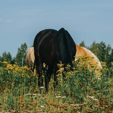 Фермерский дом Anielin