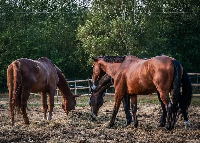 Anielin Κατάλυμα σε φάρμα *